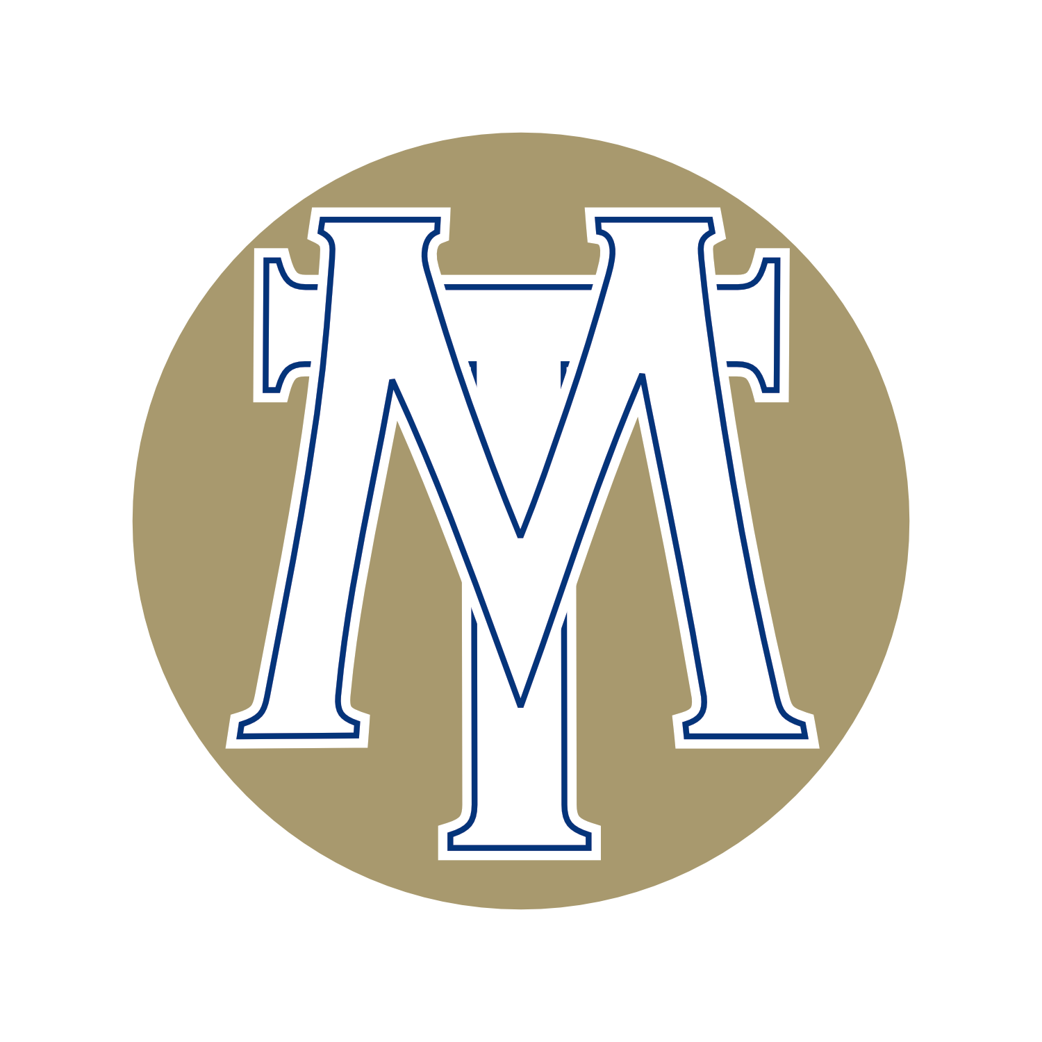 MT Transit